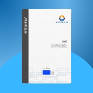 Pin Lưu Trữ Lvtopsun 51.2v200Ah 10.24kWh